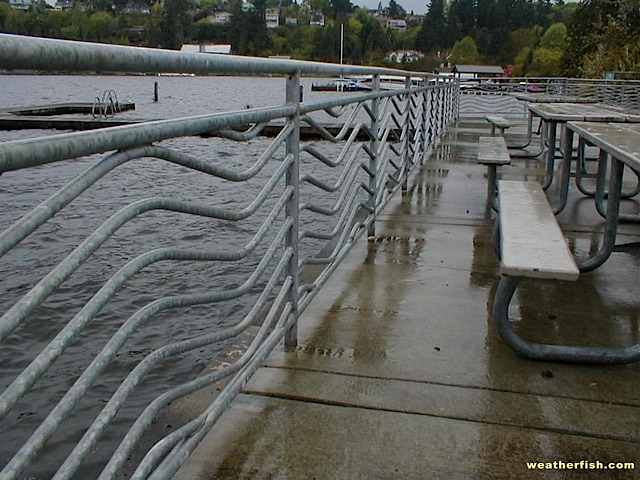 P1010008