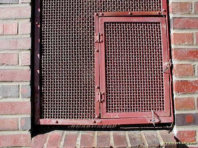 P1010013