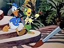 Saludos Amigos : Donald & Jose Carioca
