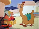 Saludos Amigos : Llama
