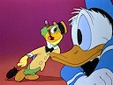 The Three Caballeros : Joes & Donald