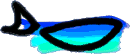 wfish4